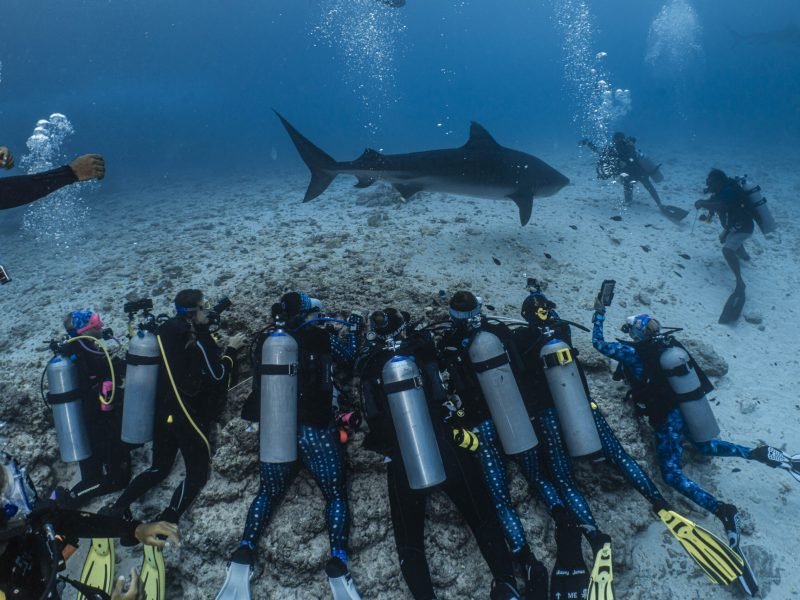 MALDIVES 2024-09 Simon Lorenz-9448